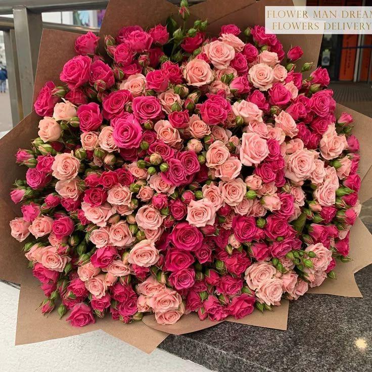 Secret Garden's Midnight Blooms